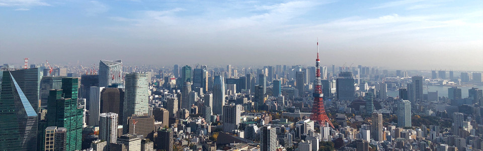 【江戸川区】相続税対策で不動産を活用するメリット・デメリットと活用事例